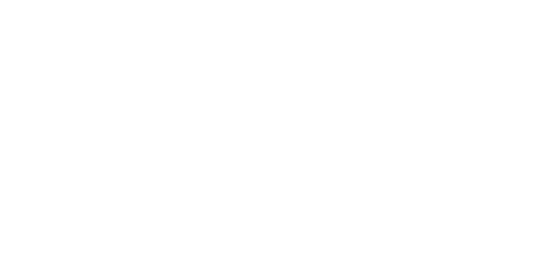 WebWisp